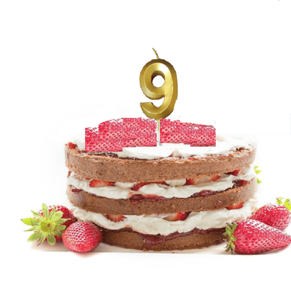 9 NUMBER CAKE TOPPER CANDLE